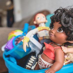 43402563414_2e8c1174a6_z