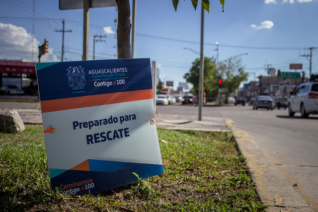 Supervivencia de árboles plantados durante reforestaciones masivas de Aguascalientes es del 20 por ciento