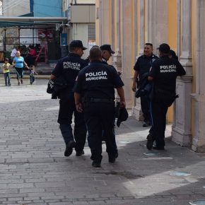 44728008941_fc040321a3_z