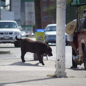 45537624712_3f8f2f6706_z