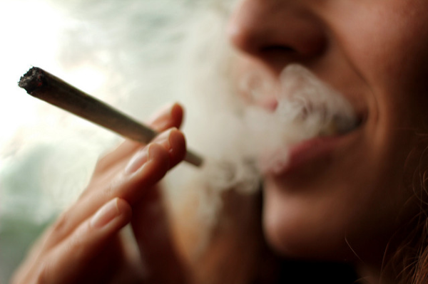 Legalización de la marihuana con fines lúdicos deberá analizarse