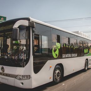 27308459707_b6aff30579_z