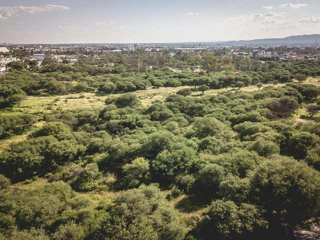 Habrá casas y comercios en la mayor parte de La Pona, Aguascalientes