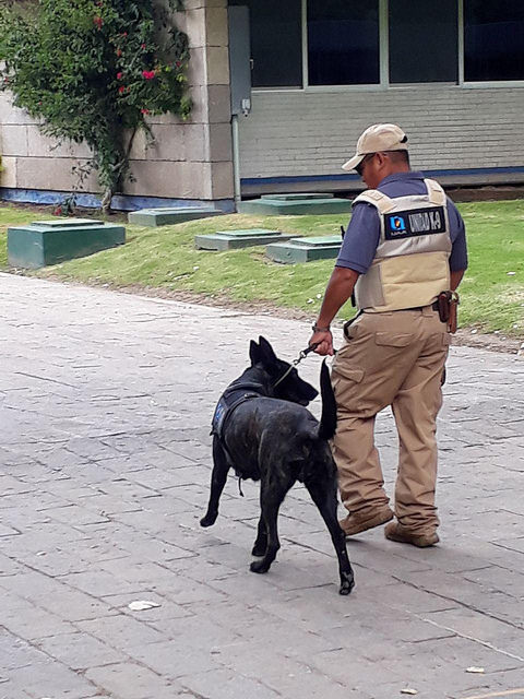 Pide rector de la Autónoma de Aguascalientes tolerancia a los binomios caninos