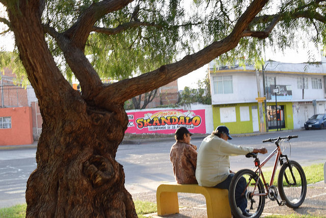 No se ha realizado ninguna solicitud de declaratoria de árbol patrimonial en Aguascalientes