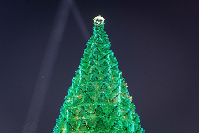 Mide 27.48 metros árbol navideño en Aguascalientes que obtuvo récord mundial