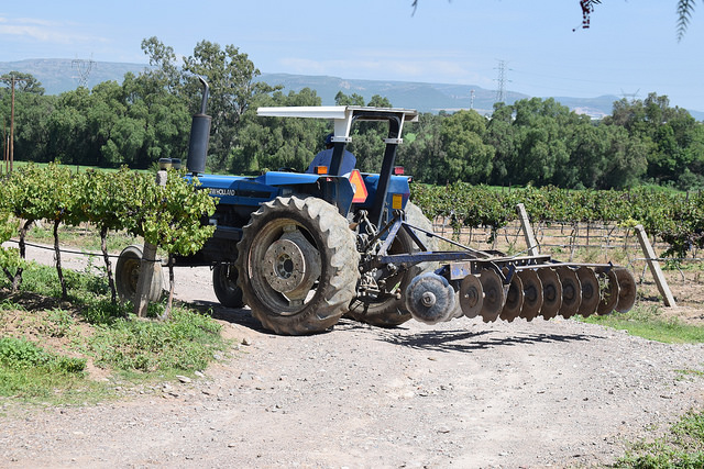 Invierten 9 mdp para viticultura de Aguascalientes