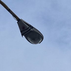 42836748400_9ae760a992_z