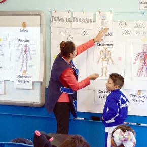 44303624025_fbaac4152f_z