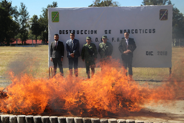 Destruyen narcóticos asegurados en Aguascalientes