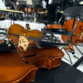 44628614014_b64e9a417a_z