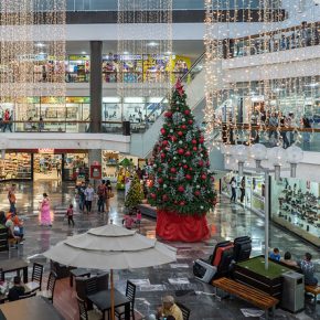 45123245665_c925e0a5c2_z