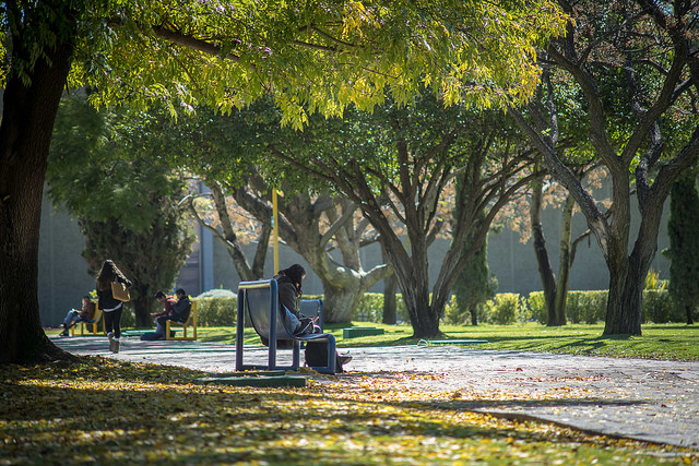 Adolecen universidades de Aguascalientes de mecanismos de actuación para erradicar violencia y acoso