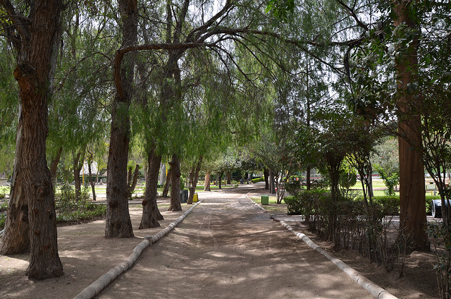 Cabildo de Aguascalientes pudo obligar a los dueños de La Pona a proteger el predio sin fraccionarlo