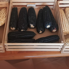 Captura de pantalla 2018-12-02 a la(s) 21.37.39