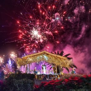 WhatsApp Image 2018-12-01 at 9.32.14 PM (3)