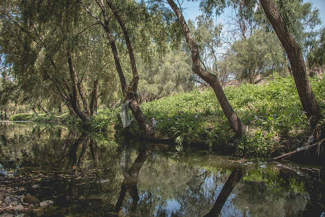La educación ambiental, la mejor arma contra el deterioro del planeta