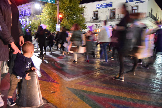 Partido Verde, en contra de los derechos sexuales y reproductivos de la mujeres de Aguascalientes