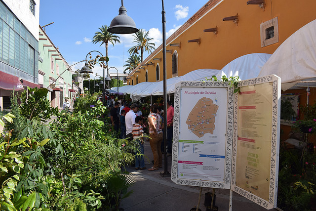 Módulos en Calvillo, Aguascalientes, reciben solicitudes y demandas de la población