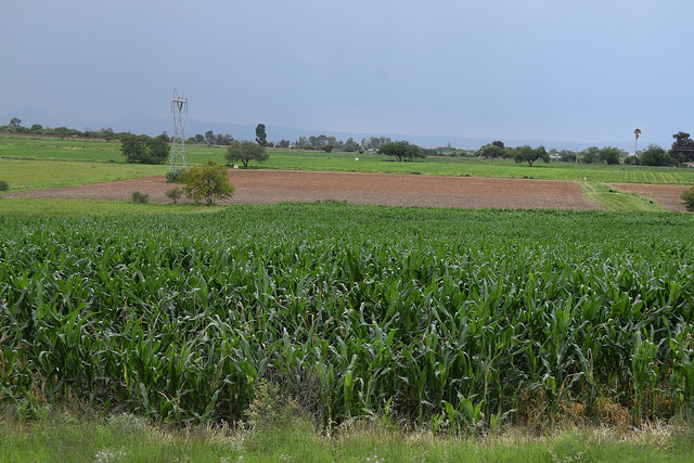 Sesiona Comisión de Desarrollo Agropecuario de Aguascalientes