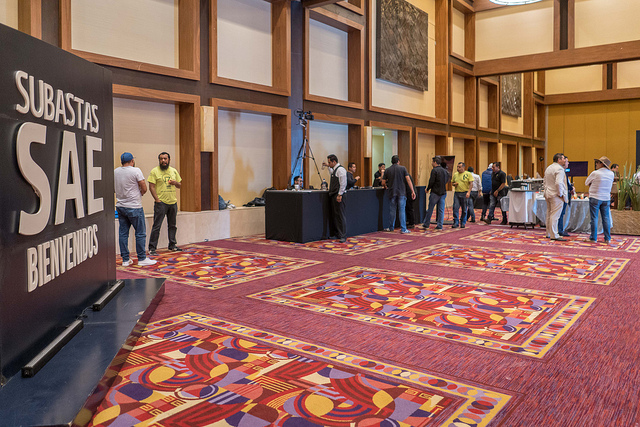 En Aguascalientes exhibirían en museos obras de arte incautadas en el SAE