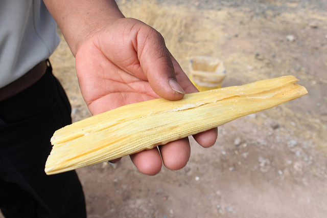 Calvillo, Aguascalientes, convoca al Primer Concurso del Mejor Tamal