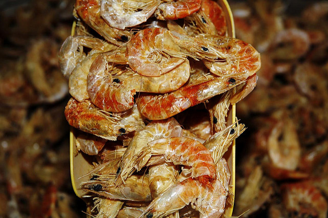 Autónoma de Aguascalientes propone soluciones para maximizar el cultivo de camarón