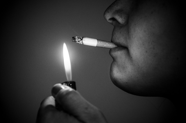 Taller sobre Leyes Estatales para la Protección contra el Humo de Tabaco en Aguascalientes