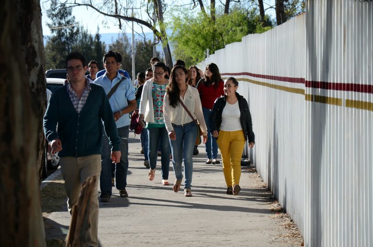 Piden no cancelar el INEE, no es ni ha sido un instrumento persecutor de los maestros