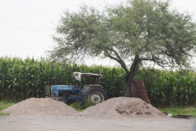 Lamentable que Inegi dejara de realizar censos agropecuarios