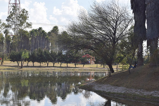 Se aprueban modificaciones para reforzar el Reglamento de Protección al Medio Ambiente y Manejo de Áreas Verdes en Aguascalientes