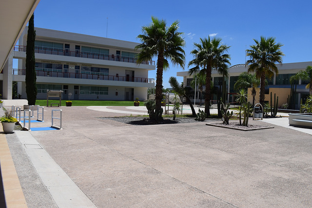 Otorgará Universidad Tecnológica de Aguascalientes becas del 100% a aspirantes