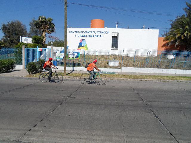 Registra Aguascalientes incremento en ingresos por suministro de bienes y servicios