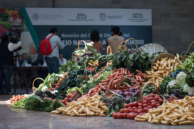 Lunch saludable, recomienda IMSS para evitar obesidad en niños