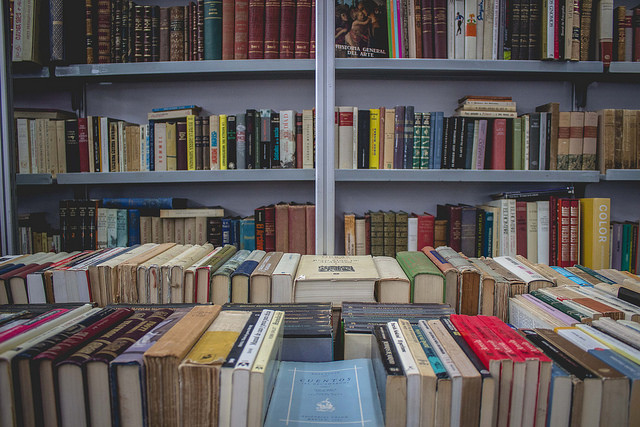 Días sin ti, de Elvira Sastre, gana el Premio Biblioteca Breve 2019