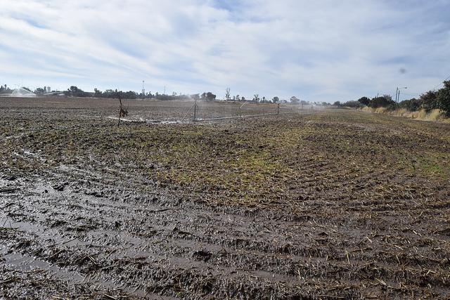 Sistema de Financiamiento Integral atenderá solicitudes de crédito para el desarrollo rural de Aguascalientes