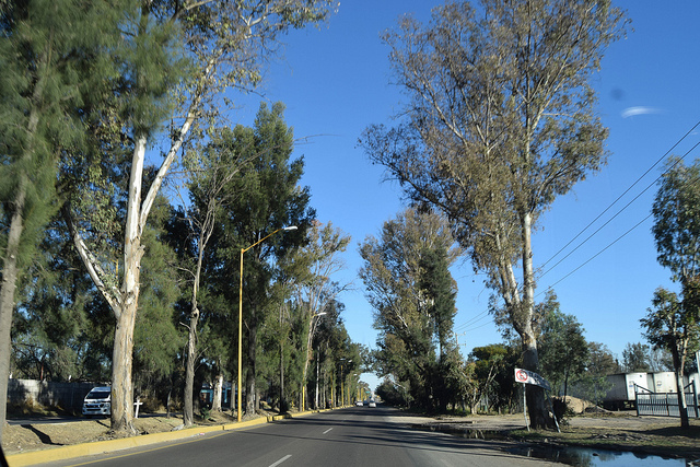 Se llevó a cabo el Seminario de Cumplimiento Ambiental en Aguascalientes