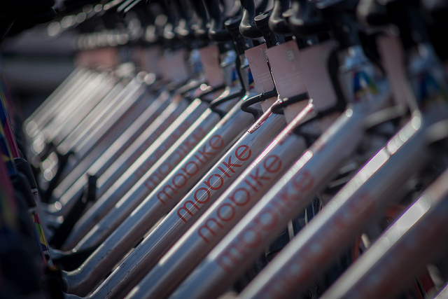 Propone Jaime Gallo retrasar entrada de Mobike a Aguascalientes 