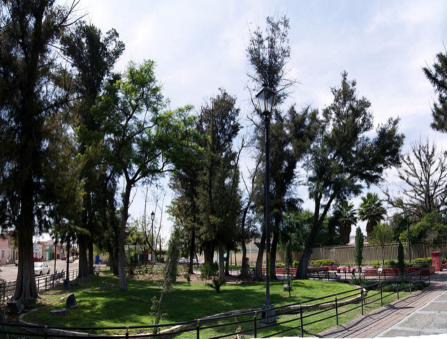 Es necesario elaborar un diagnóstico antes de intervenir un espacio urbano en Aguascalientes