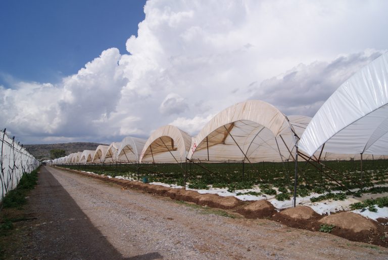 Gobierno de Aguascalientes y Federal invertirán 80 millones en el Distrito de Riego