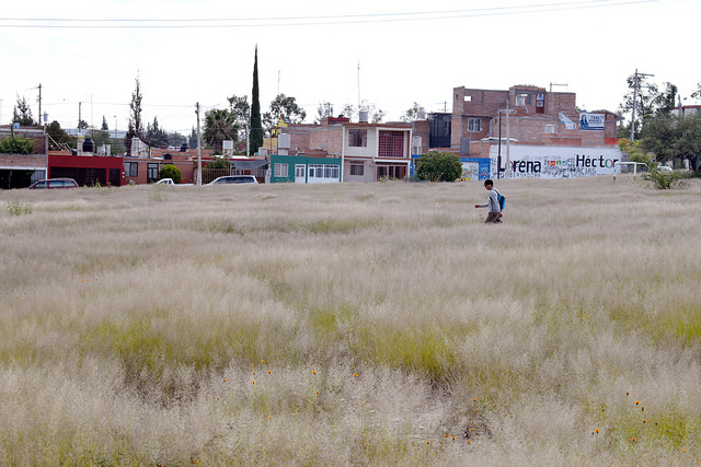 En el mundo, más de 264 millones de personas viven con trastorno de ansiedad
