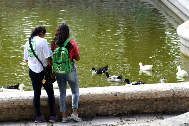 El PVEM Aguascalientes dará a conocer a sus candidatos hasta el último día de marzo