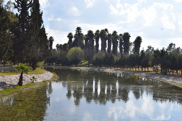 Si no actuamos con prontitud y eficacia, los daños a los ecosistemas serán devastadores