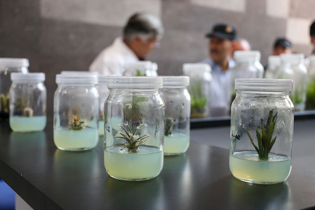 Científico del Instituto Tecnológico de Pabellón, en Aguascalientes, participa en investigación de la NASA