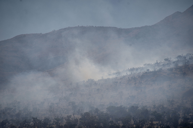 Declaran contingencia ambiental en la capital de Aguascalientes