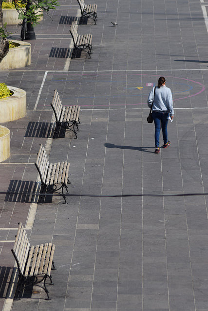Participa DIF Aguascalientes en el Congreso Nacional de la Federación de Mujeres Profesionistas de México