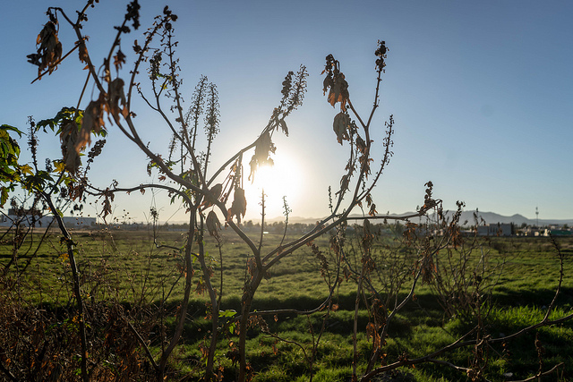 Alteraciones en la temperatura, contaminación y precipitaciones intensas, por actividades humanas