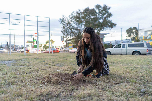 Arranca Jornada de Reforestación en Aguascalientes