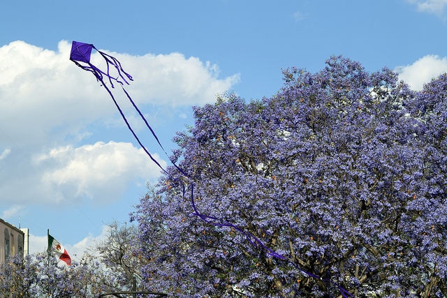 Ciencia y poesía, dos lenguajes para interpretar un mismo mundo