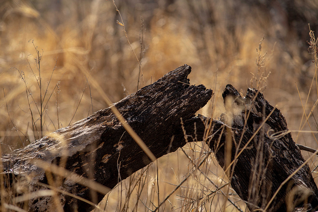 Niveles Imeca superan la norma oficial